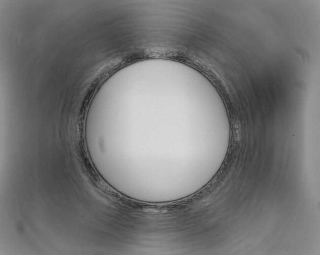 X0000112480690200908171013