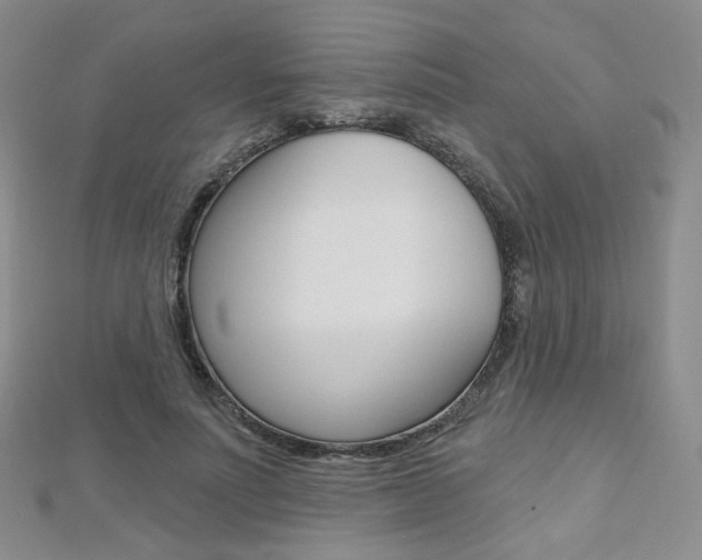 X0000112480691200908171013