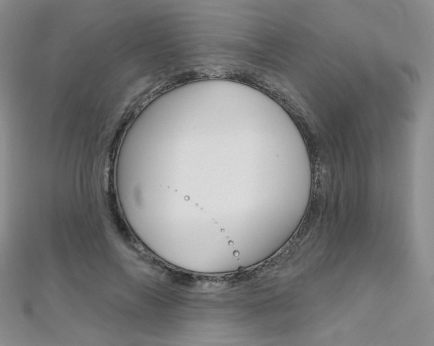 X0000112480694200908171013