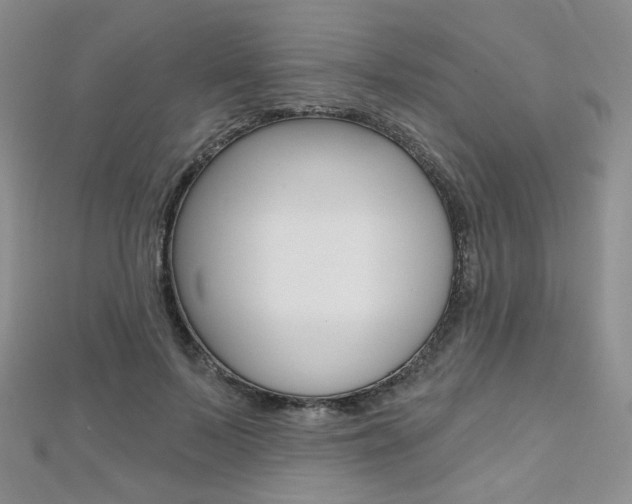 X0000112480695200908171013