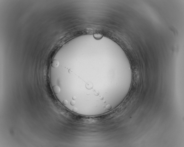 X0000112480698200908171013