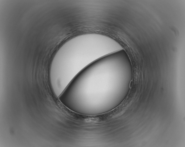 X0000112480700200908171013