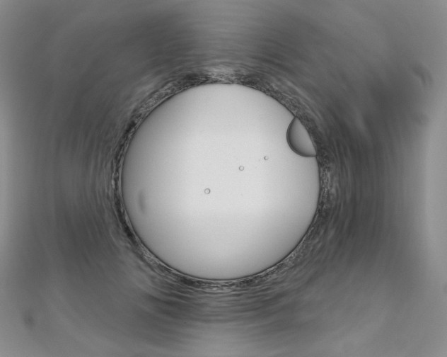 X0000112480702200908171013