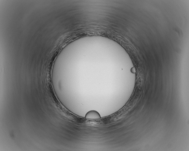 X0000112480706200908171013