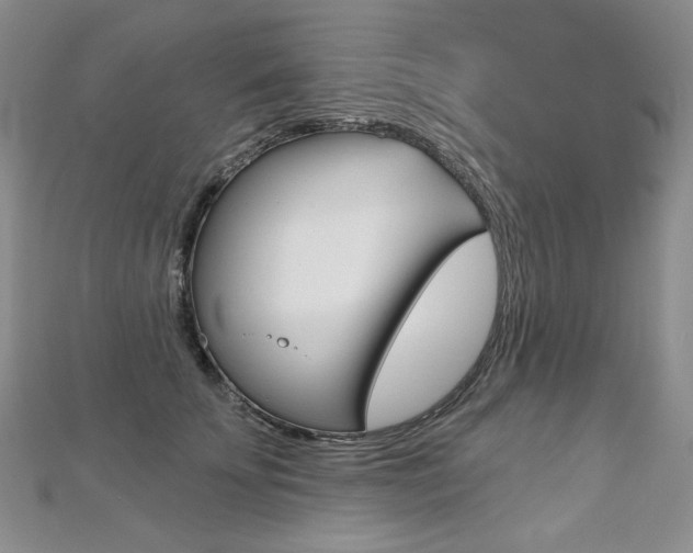 X0000112480707200908171012