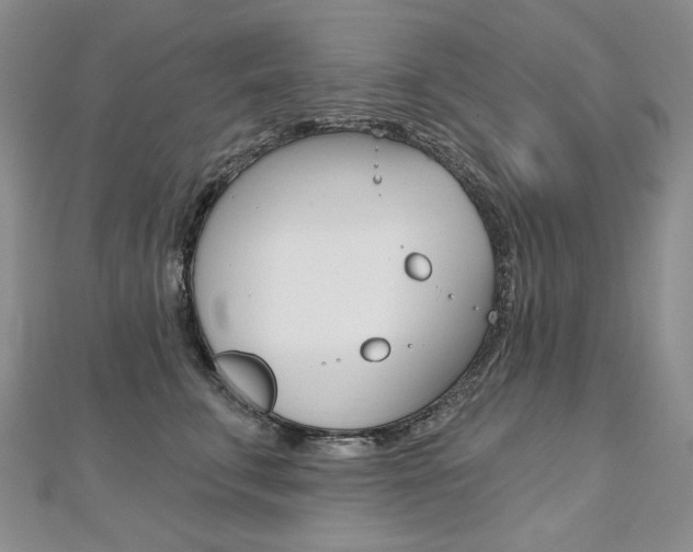 X0000112480711200908171012