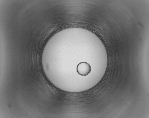 X0000112480712200908171012