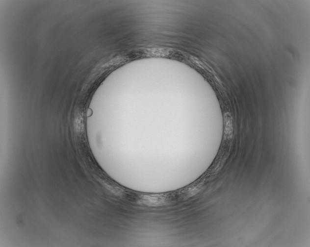 X0000112480713200908171012