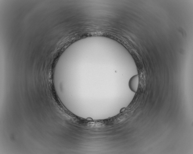 X0000112480714200908171012