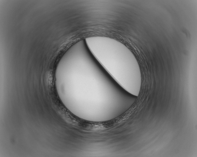X0000112480715200908171012