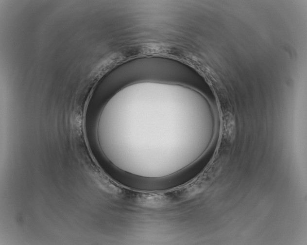 X0000112480716200908171012