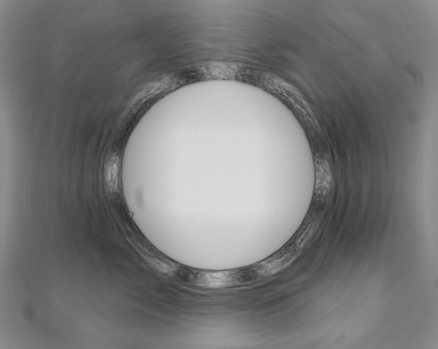 X0000112480717200908171012