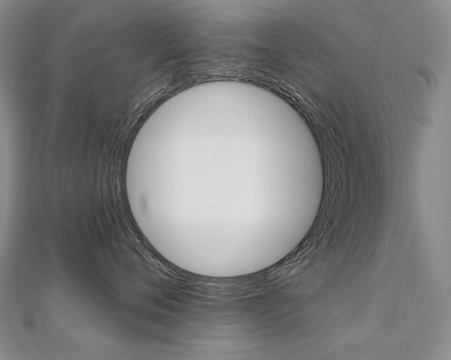 X0000112480720200908171012