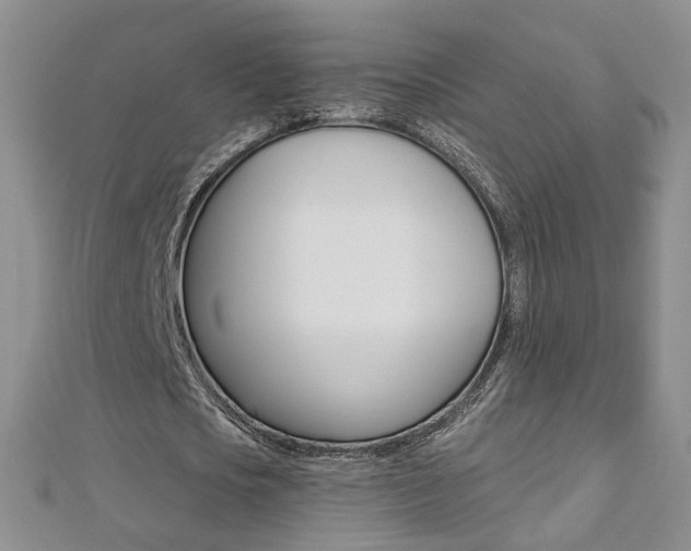 X0000112480721200908171011