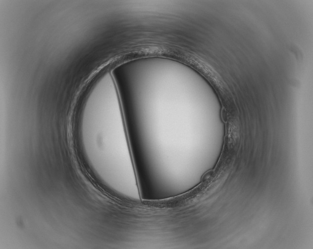 X0000112480722200908171011