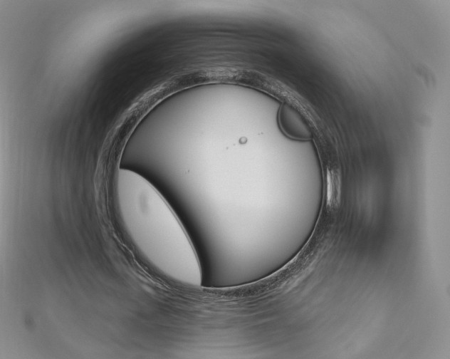 X0000112480723200908171011