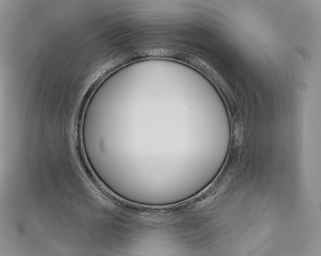 X0000112480725200908171011