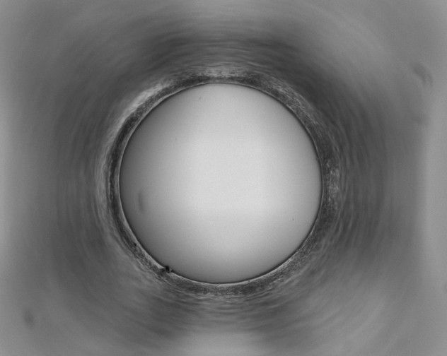 X0000112480727200908171011