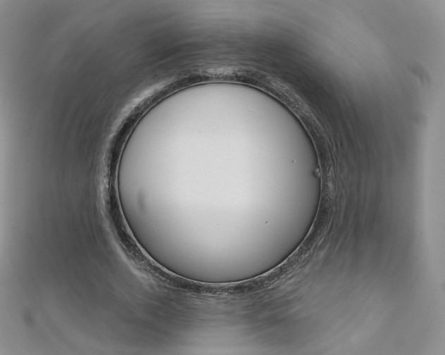 X0000112480728200908171011