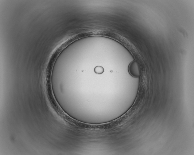X0000112480730200908171011