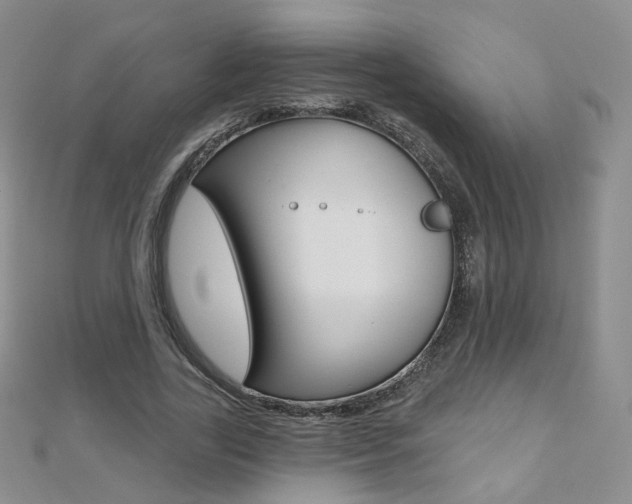 X0000112480731200908171011