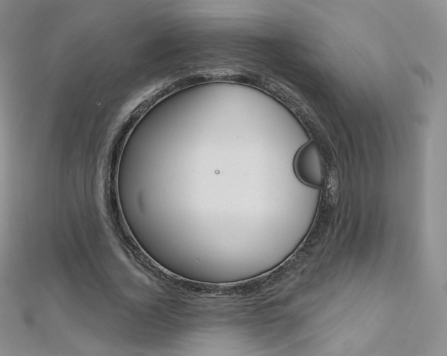 X0000112480732200908171012