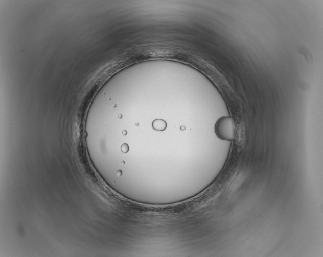 X0000112480733200908171012