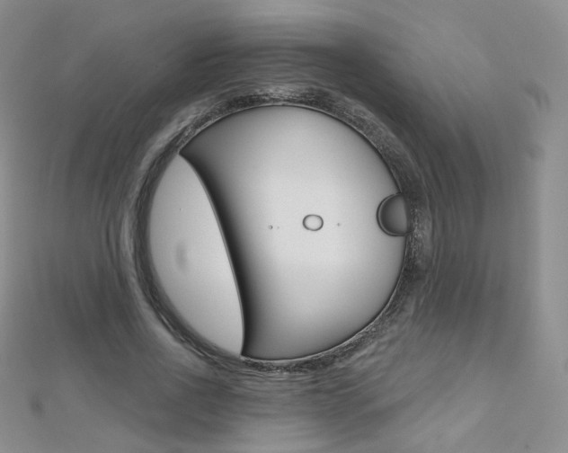 X0000112480734200908171012