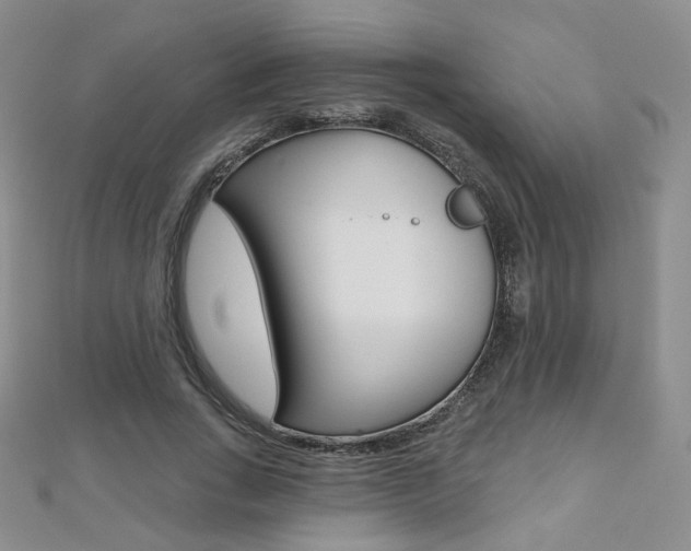 X0000112480735200908171012