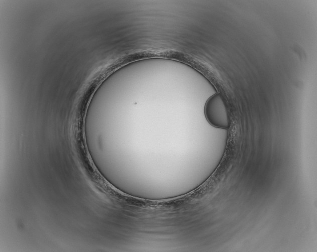 X0000112480736200908171012