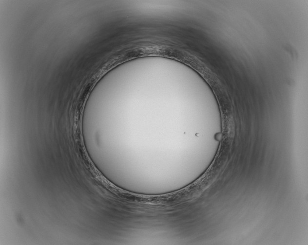 X0000112480737200908171012