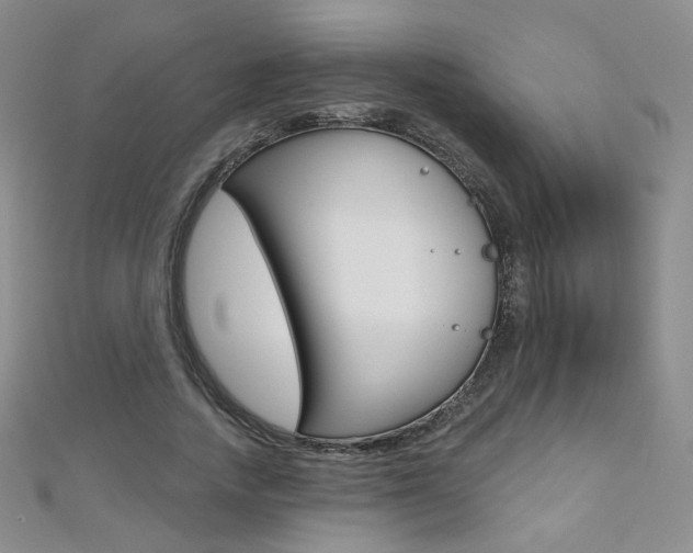 X0000112480738200908171012