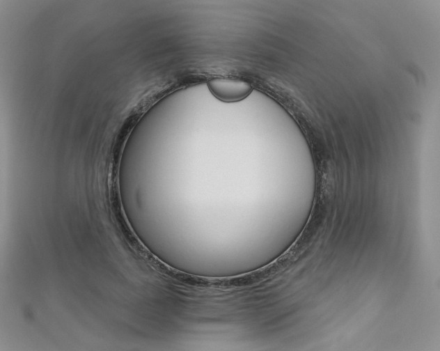 X0000112480739200908171012