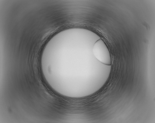 X0000112480740200908171012