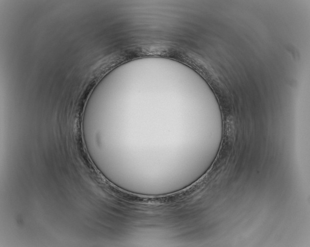 X0000112480741200908171012