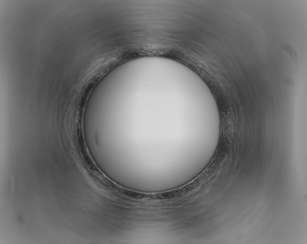 X0000112480742200908171012