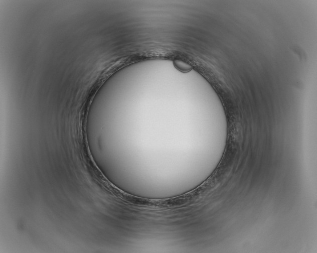 X0000112480743200908171012