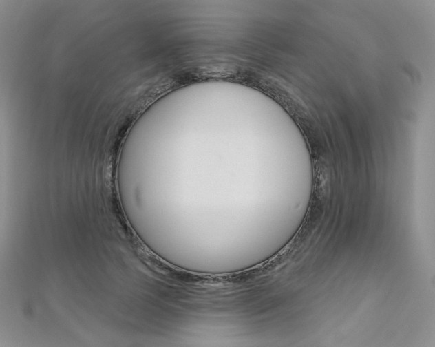 X0000112480745200908171012