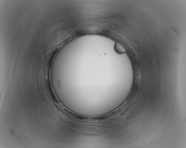 X0000112480746200908171012