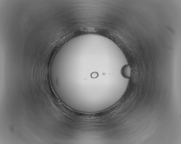 X0000112480747200908171012