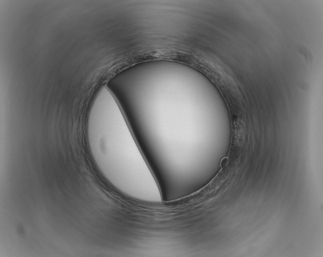 X0000112480748200908171012