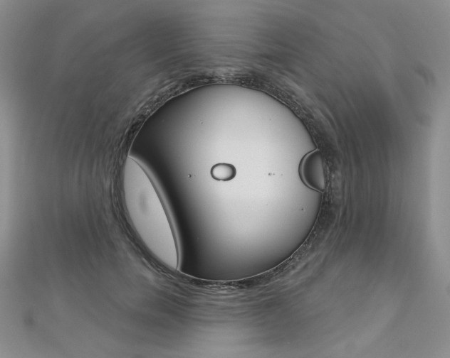 X0000112480750200908171012