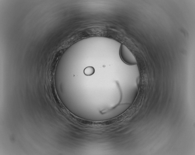 X0000112480751200908171012
