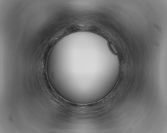 X0000112480752200908171012