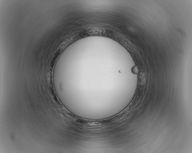 X0000112480753200908171012