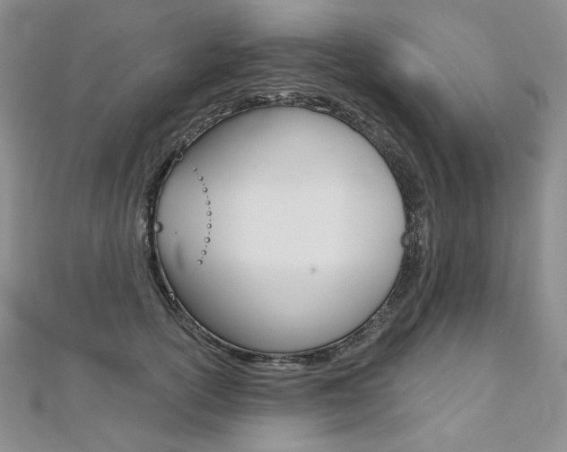 X0000112480754200908171012