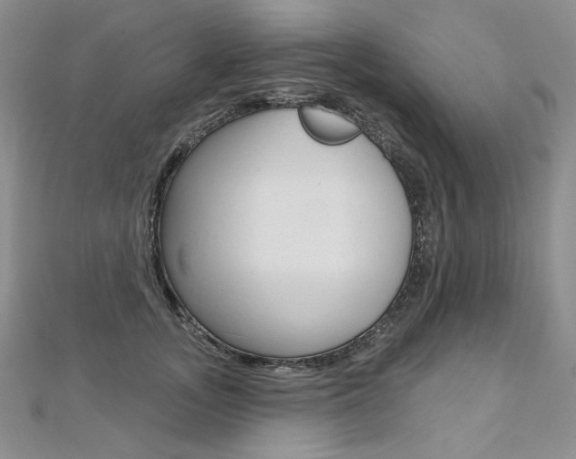 X0000112480755200908171012