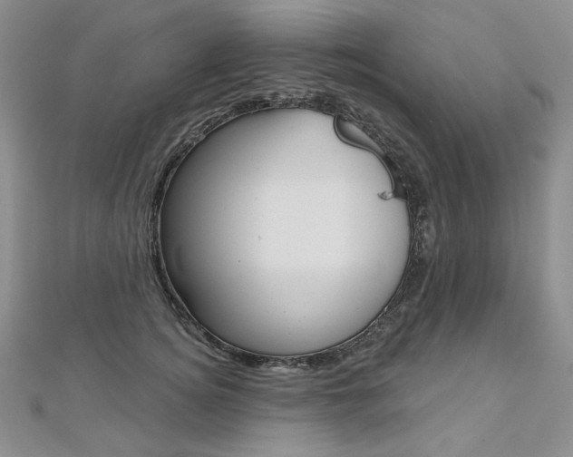 X0000112480756200908171012