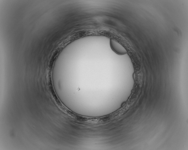 X0000112480757200908171012