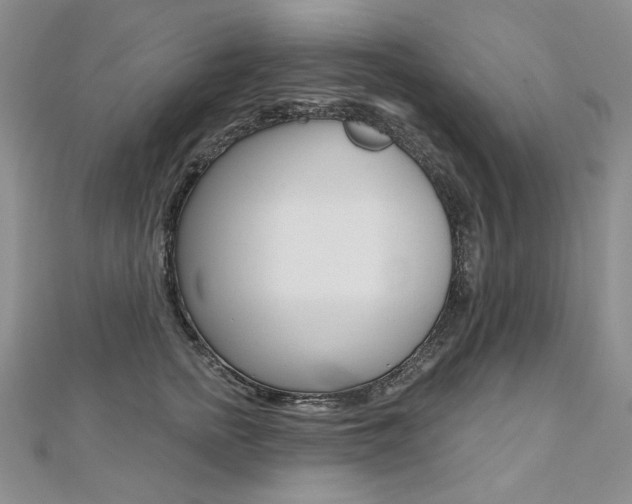 X0000112480758200908171012